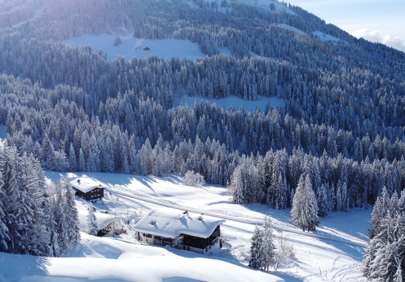 Allgäuer Bergpanorama